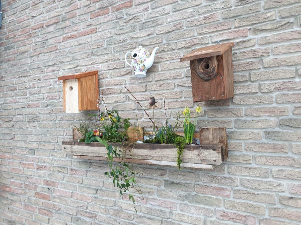 Ferienwohnung Vogelvilla Altenbeken Exteriér fotografie